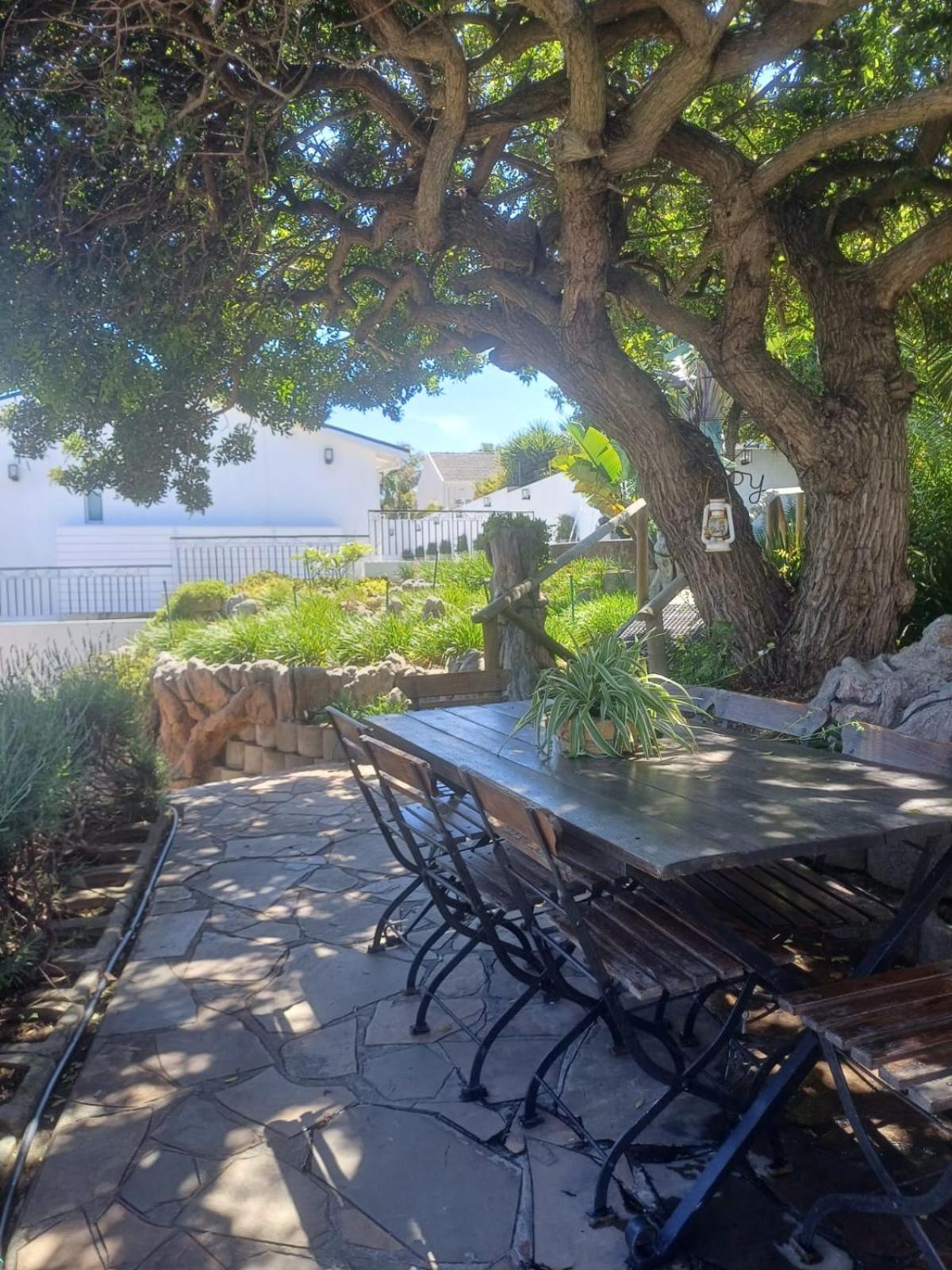 Thyme Wellness Spa And Guesthouse Cape Town Dış mekan fotoğraf