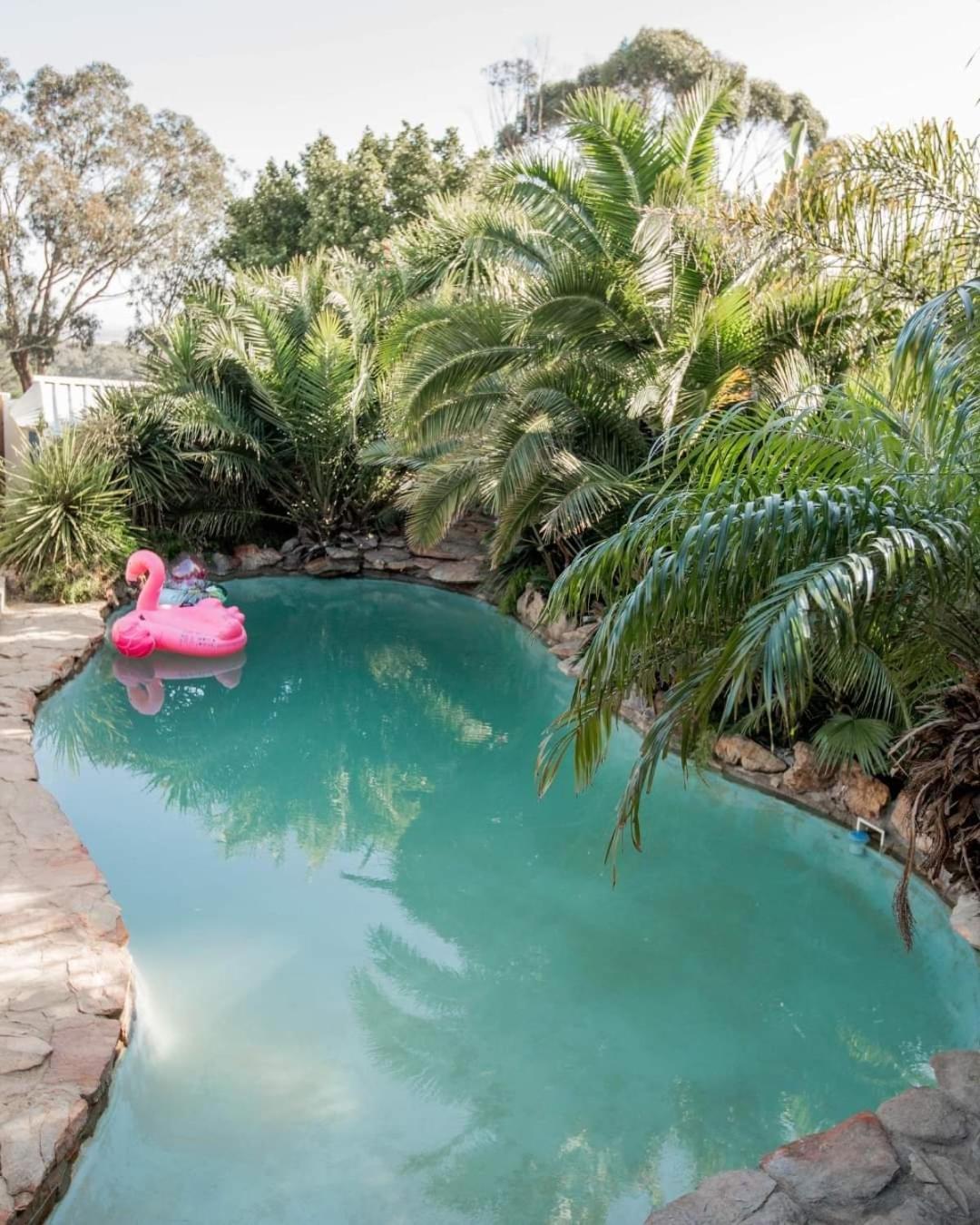 Thyme Wellness Spa And Guesthouse Cape Town Dış mekan fotoğraf